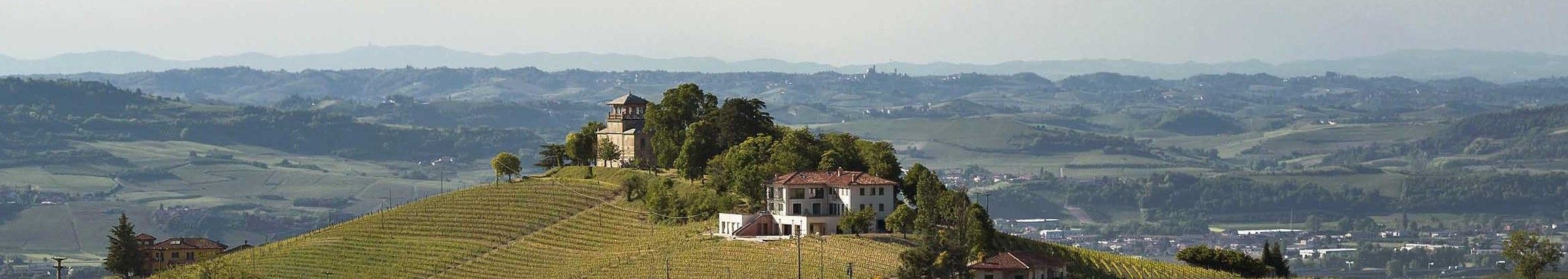 Dai Grésy in Langa among the vineyards
